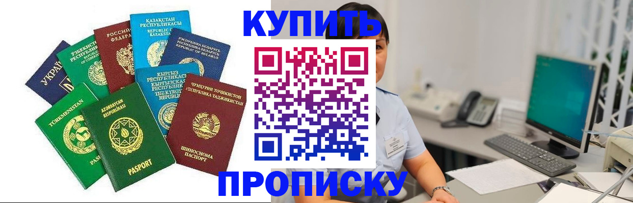 прописка в Щиграх